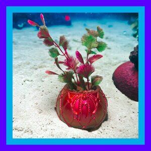 Aquarium Decoration  - Copper Red Ball with Gemstones and Colorful Plant.